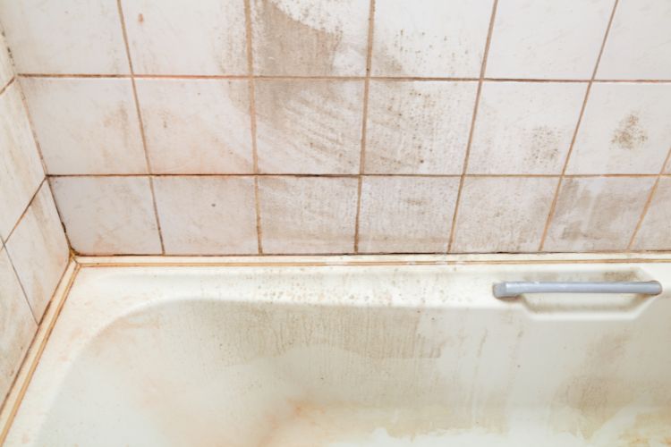 Dirty Bathroom Fails Rental Inspection