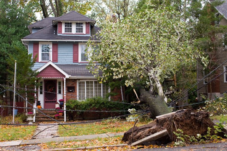Landlord Insurance Covered Property Damage Due to Natural Disaster